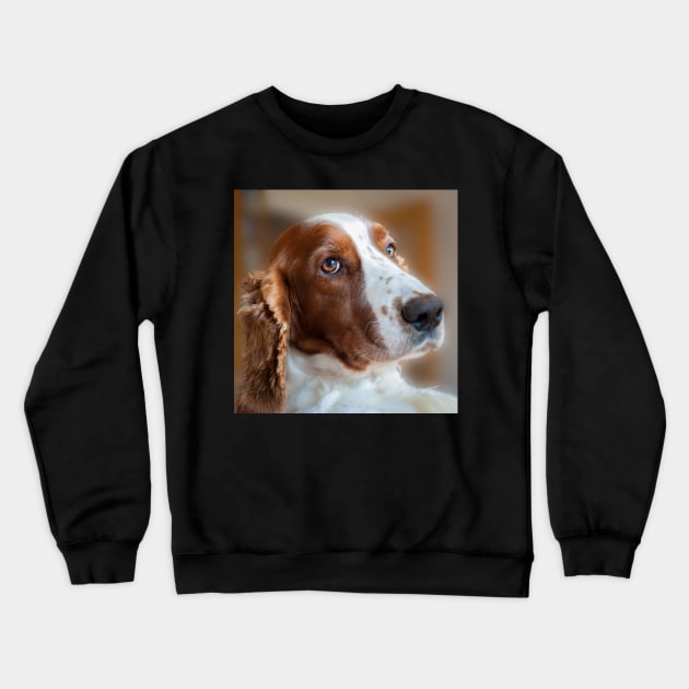 Welsh Springer Spaniel Crewneck Sweatshirt by RJDowns